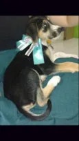 Benê