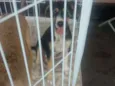 Benê