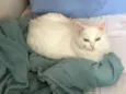 Marie