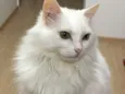 Marie