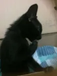 Indefinido