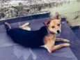 Frida