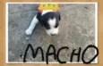 sem nome