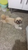 Charlie
