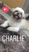 Charlie