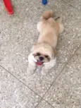 Charlie
