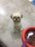 Charlie