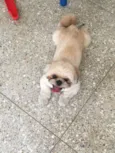 Charlie