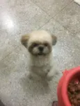 Charlie