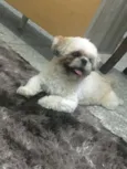Charlie