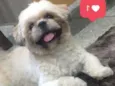Charlie