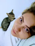  Gatinhos