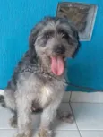 Jimmy