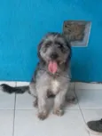 Jimmy