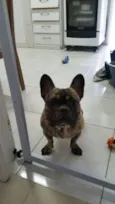 Teco