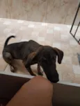 Nina