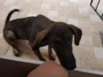 Nina