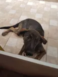 Nina