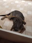 Nina