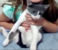Miah
