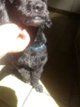 Kenai