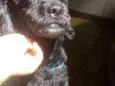Kenai