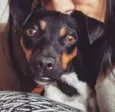 MIA