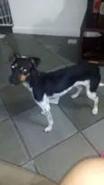 MIA