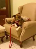 Princesa