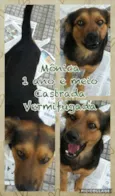 Mônica