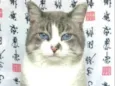 Félix