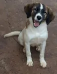 Meg