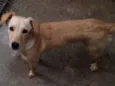 Nina