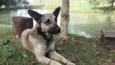 Menina