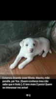 Ainda não tem nome 