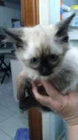 Katty 