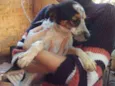 Xena
