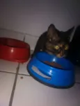 Mia