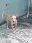 Mia