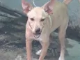 Mia