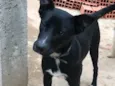 Spike