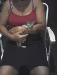 Gatilda, Açaí, Pleta