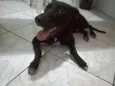 VOCÊ ESCOLHE