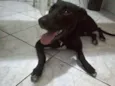 VOCÊ ESCOLHE