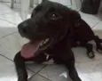 VOCÊ ESCOLHE