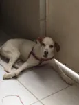 Samanco 