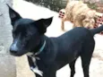 Spike