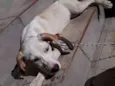Mia