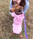 Pequena