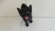 panter